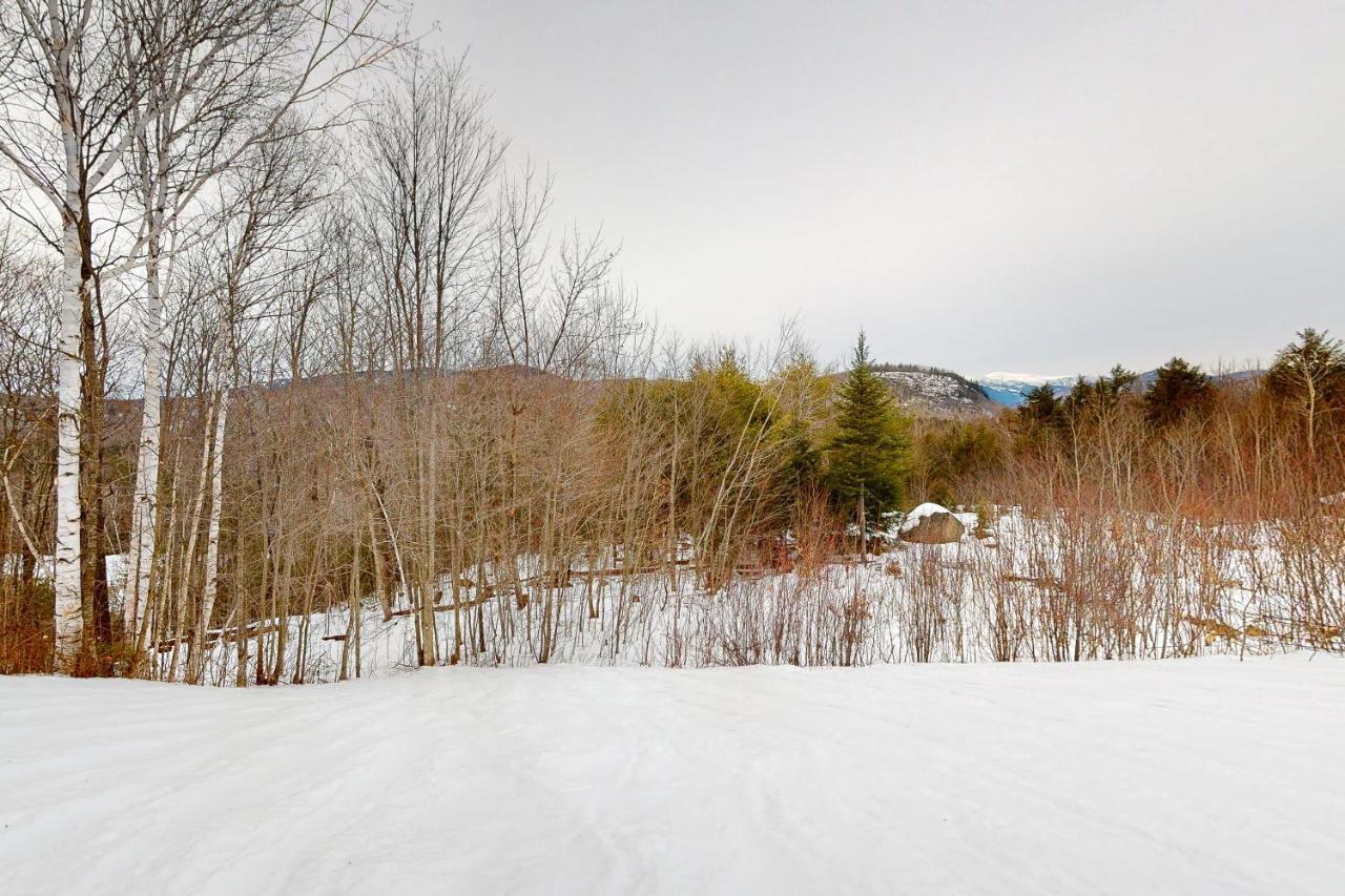 White Mountain Chalet بارتليت المظهر الخارجي الصورة