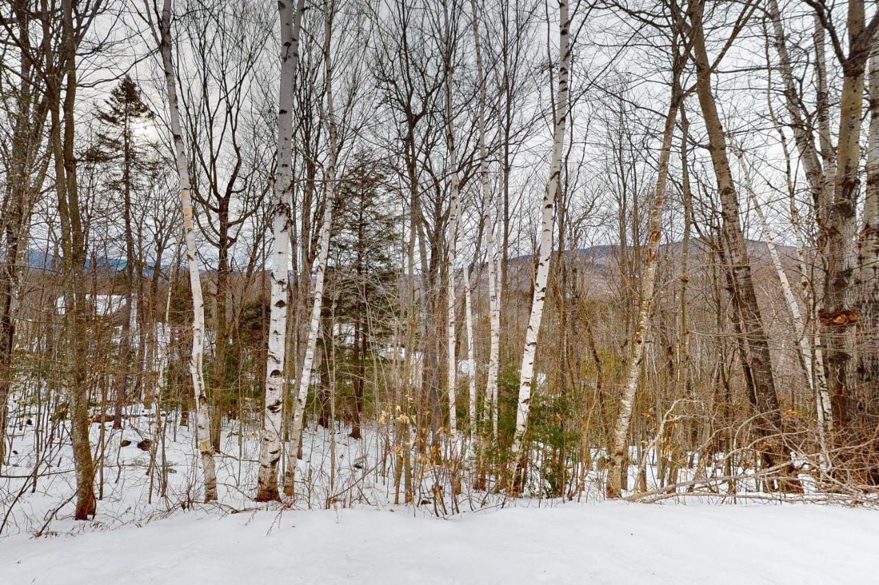 White Mountain Chalet بارتليت المظهر الخارجي الصورة